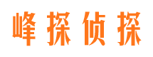 顺庆市场调查